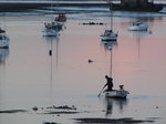 SX02548 Man on boat in Malahide Marina.jpg